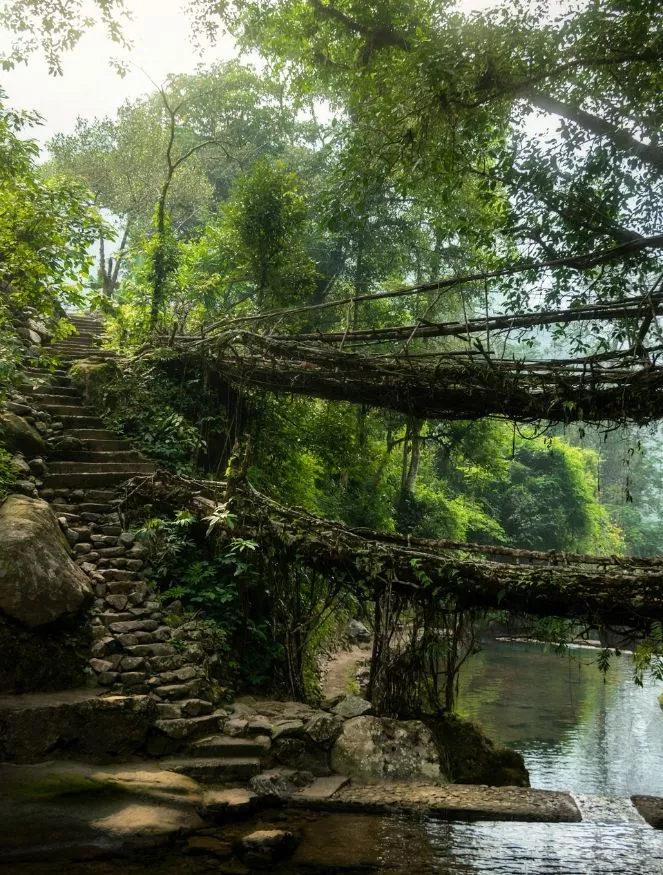 Meghalaya with Kaziranga National Park
 — 6N 7D group trip