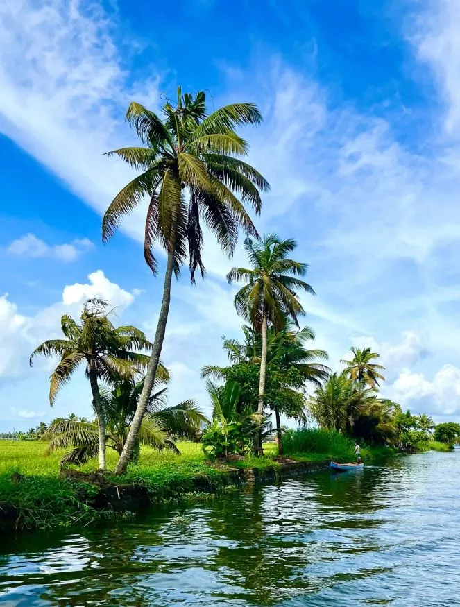 Kerala group trip with Travel Tech
