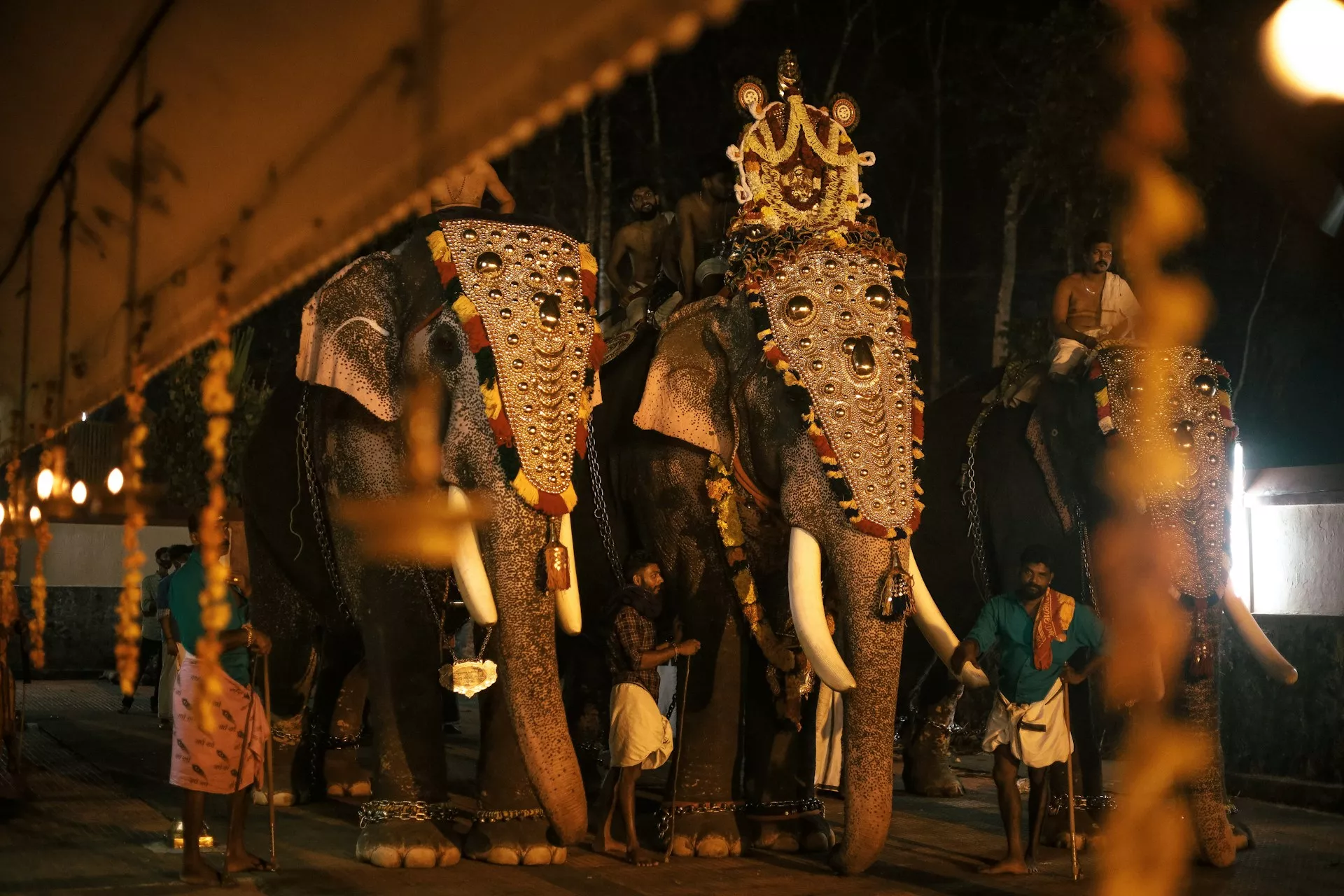 Celebrate new year in Kerala — 1393 landscape