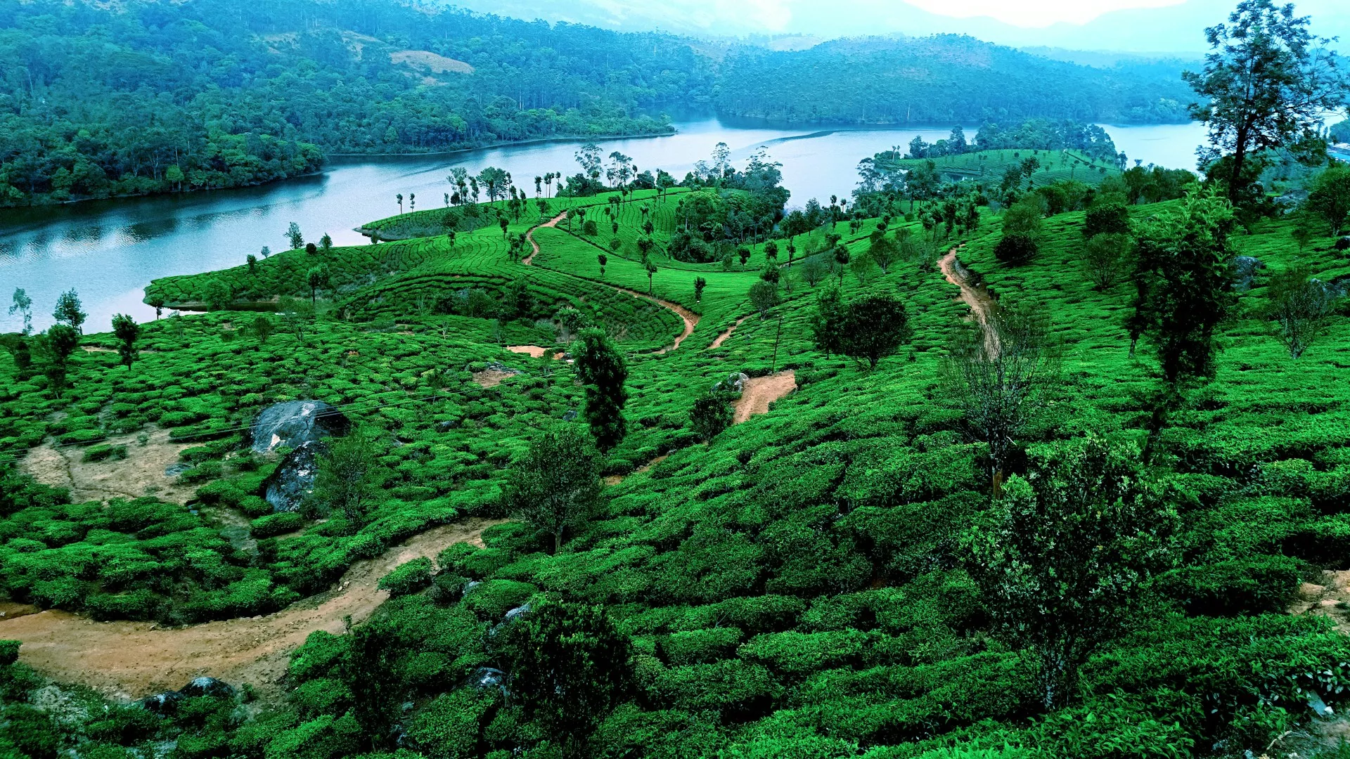 Celebrate new year in Kerala — 1393 scenic view